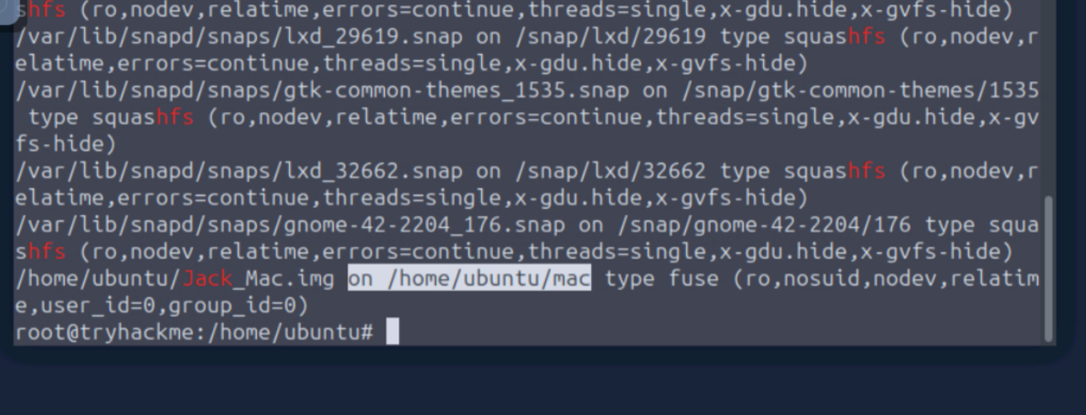 grep output showing mounted APFS image location